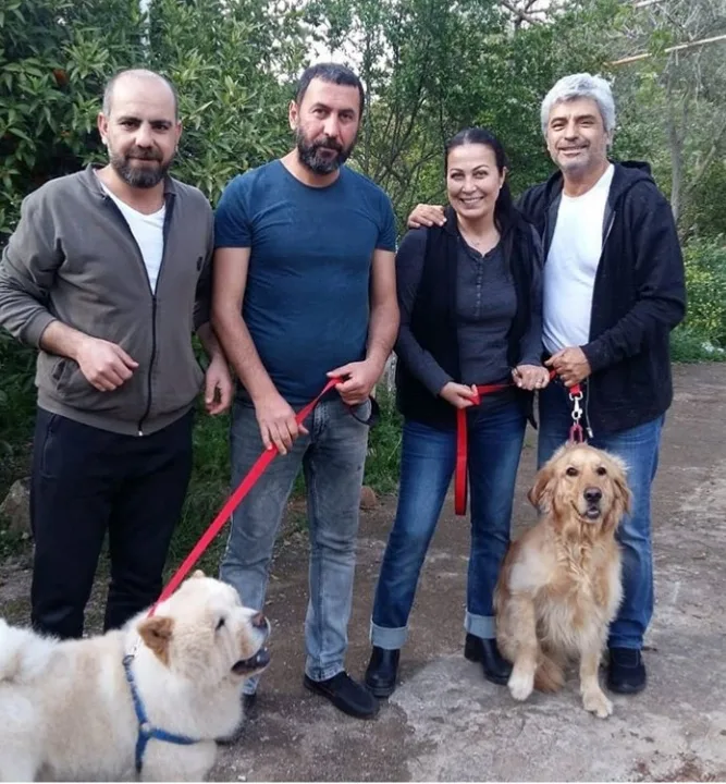 Bodrum Fun Pet Otel ve Köpek Eğitim Merkezi Bodrum pet otel görseli 3