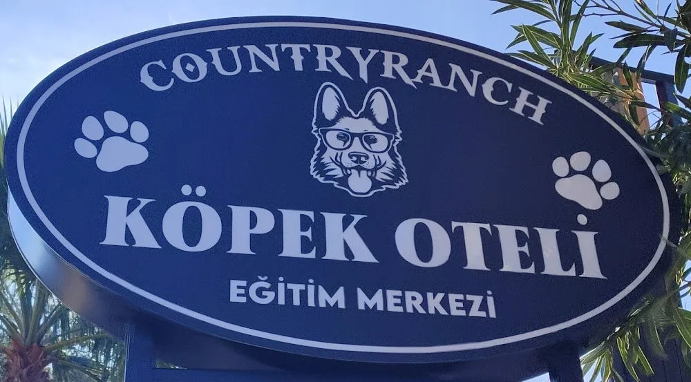 Countryranch Bodrum Kedi-Köpek Oteli ve Köpek Eğitim Merkezi - Bodrum pet otel