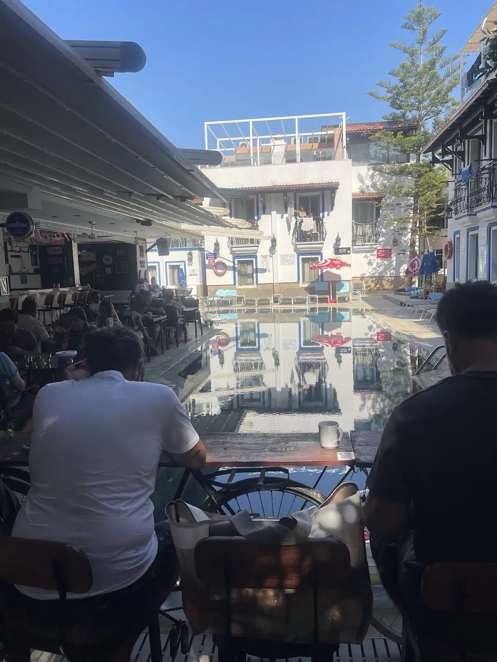 Pet Transfer Bodrum Bodrum pet otel görseli 3
