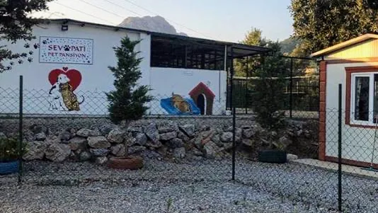 Sevpati Pet (Pet Pansiyon & Pet Kuaför & Pet Shop) - Bodrum pet otel