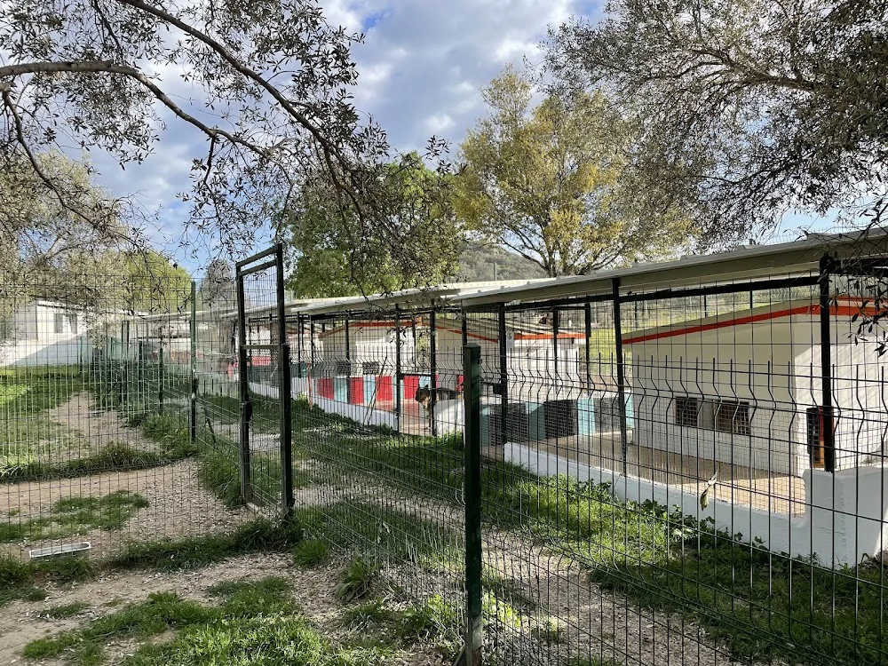Tektek Köpek Oteli Bodrum pet otel görseli 3